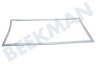 Constructa Koelkast Afdichtingsrubber Koelkast, 51,5cm x 1,05m
