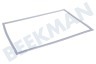 Lynx Koelkast 00242232 Afdichtingsrubber 870x575mm -wit-