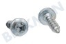 Siemens Koelkast Strip