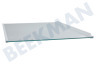 Constructa Koelkast 11041518 Glasplaat Compleet
