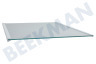 Constructa Koelkast 11041518 Glasplaat Compleet