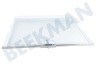 Neff Koelkast 747860, 00747860 Glasplaat Compleet