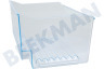 Bosch Kühlschrank 11015289 Gemüsefach Transparent