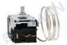 Constructa Koelkast 00170157 Thermostaat KIR1774/41