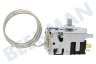 Siemens Koelkast 170459, 00170459 Temperatuur regelaar Temperatuurregelaar