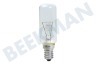 V-zug 159645, 00159645 Lampe 40W E14 Kühlschrank, Abzugshaube