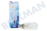 V-zug 159645, 00159645 Lampe 40W E14 Kühlschrank, Abzugshaube