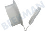 Ariagel Anschluss Wandflansch mit Ventil