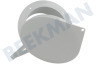Ariagel Anschluss Wandflansch mit Ventil