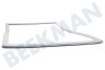 Beko Koelkast 4668512000 Afdichtingsrubber