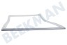 Beko Koelkast 4668512000 Afdichtingsrubber