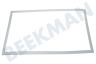 Beko Koelkast 4668512000 Afdichtingsrubber