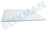 Blomberg Koelkast Glasplaat In vriesgedeelte 401x348mm.