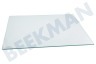 Blomberg Koelkast Glasplaat In vriesgedeelte 401x348mm.