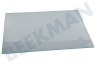Blomberg Koelkast Glasplaat Legplateau