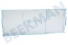 Beko Koelkast 4206650500 Vriesvakklep