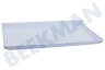 Bauknecht Kühlschrank 4332090200 Ablagefach Gefrierfach