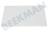 Beko Koelkast Glasplaat