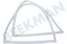 White westinghouse Koelkast Deurrubber