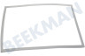 Gorenje Kühlschrank Türgummi