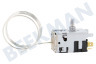 Pelgrim Koelkast Thermostaat 077B6738 Danfoss-13 / -33 graden