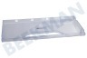 Ignis Koelkast C00344811 Frontpaneel