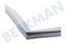 Liebherr Koelkast Afdichtingsrubber 890 x 525mm, Koelgedeelte