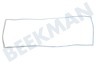 Liebherr Koelkast 7111130 Afdichtingsrubber
