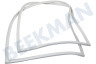Liebherr Koelkast Deurrubber