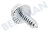 Liebherr Koelkast Torx Schroef