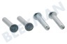 Liebherr Koelkast Scharnierstift