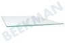 Liebherr Koelkast 7271476 Glasplaat