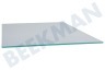 Liebherr Koelkast 7271358 Glasplaat