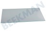 Liebherr Koelkast 7271358 Glasplaat