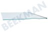Liebherr Koelkast Glasplaat Incl. strips