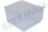 Alternatief Koelkast Groentelade Transparant 300x255x160