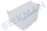 Alternatief Koelkast Groentelade 430x220x170mm transparant