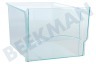 Alternatief Koelkast Groentelade Transparant klein 295x230x185mm