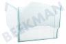 Alternatief Koelkast Groentelade Transparant 440x230x190mm