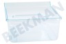 Liebherr Koelkast 9290084 Groentelade