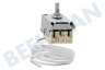 Miele Koelkast Thermostaat K59-H2800-L2621 -31-19+5g