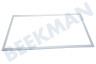 Hotpoint Koelkast Afdichtingsrubber Magneetdeur, Wit