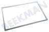 Bauknecht Koelkast Afdichtingsrubber Vrieskist, wit