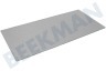 Bauknecht Koelkast Legbord Kunststof 478X221
