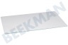 Bauknecht Koelkast Glasplaat 46,8x29,5cm