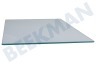 Polar Koelkast 480132102676 Glasplaat