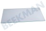 Polar Koelkast 480132102676 Glasplaat