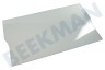Whirlpool Koelkast Glasplaat 473x285x4mm met groefje