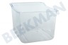Whirlpool Koelkast Groentelade Transparant 290x232x200mm