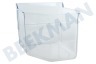 V-zug Kühlschrank Gemüsefach Transparent, links
